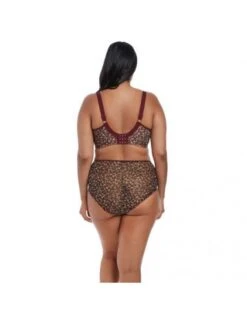 Culotte Montante SACHI ELOMI Imprimé Léopard Promotion -Ma Boîte à Dessous Soldes culotte montante sachi elomi imprime leopard promotion 3