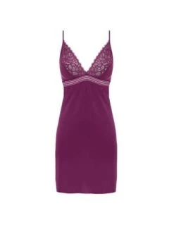 Nuisette En Dentelle RAFFINE Wacoal Potent Purple -Ma Boîte à Dessous Soldes nuisette en dentelle raffine wacoal potent purple 2