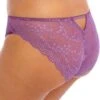 Slip Brésilien En Dentelle CHARLEY ELOMI Pansy